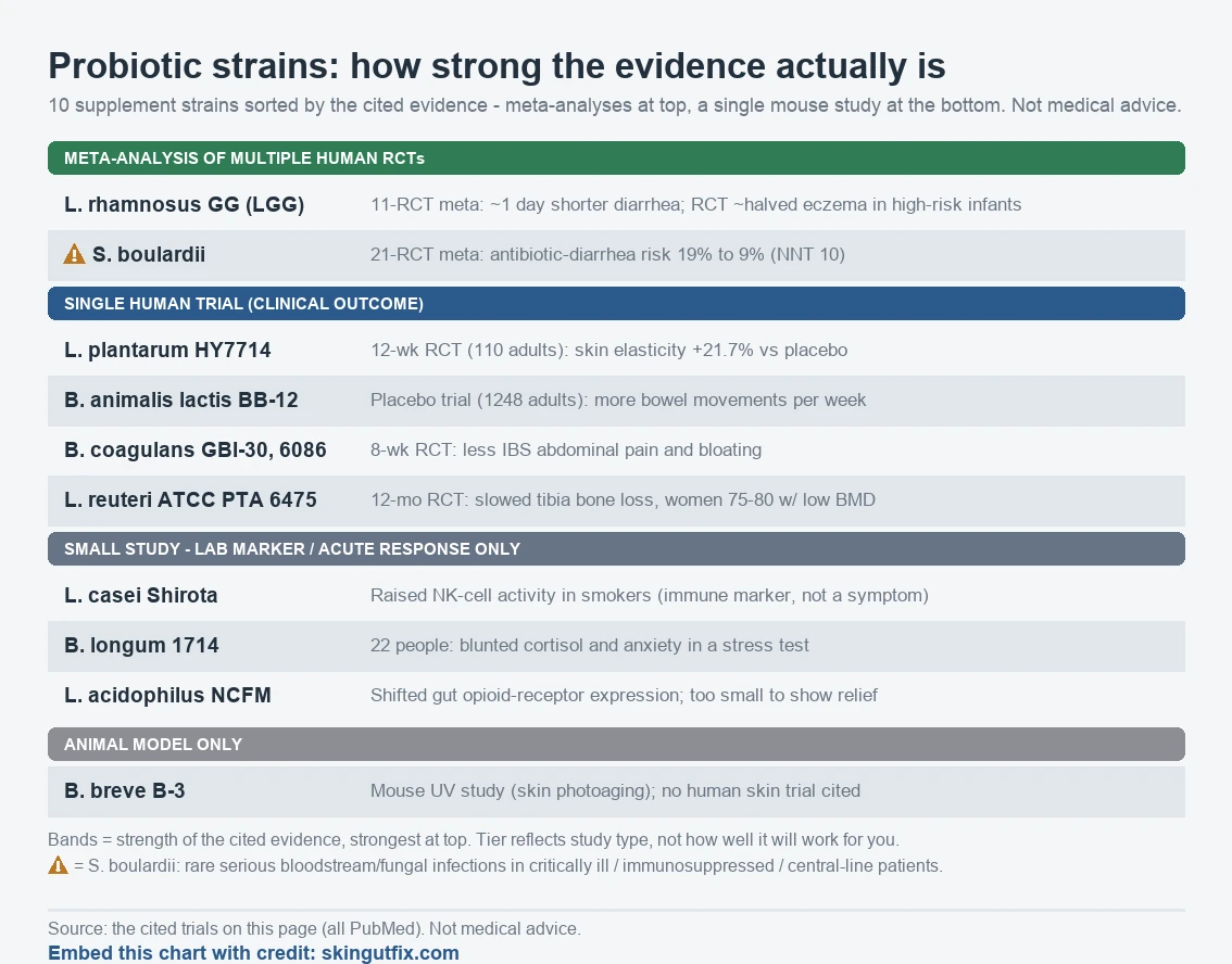 A reference card sorting ten probiotic supplement strains by how strong the cited evidence is. Meta-analysis of multiple human RCTs: Lactobacillus rhamnosus GG (an 11-RCT meta-analysis found about one day shorter diarrhea, and a separate RCT roughly halved atopic eczema by age 2 in high-allergy-risk infants); Saccharomyces boulardii (a 21-RCT meta-analysis cut antibiotic-associated diarrhea risk from about 19% to 9%, NNT 10 — flagged for rare serious bloodstream and fungal infections in critically ill, immunosuppressed, or central-line patients). Single human trial with a clinical outcome: Lactobacillus plantarum HY7714 (12-week RCT in 110 adults, skin elasticity up 21.7% vs placebo); Bifidobacterium animalis lactis BB-12 (4-week placebo-controlled trial in 1248 adults, more bowel movements per week); Bacillus coagulans GBI-30 6086 (8-week RCT, less IBS pain and bloating); Lactobacillus reuteri ATCC PTA 6475 (12-month RCT, slowed tibia bone loss in women aged 75-80 with low bone mineral density). Small study, lab marker or acute response only: Lactobacillus casei Shirota (raised NK-cell activity in healthy male smokers); Bifidobacterium longum 1714 (22 people, blunted cortisol and anxiety in a stress test); Lactobacillus acidophilus NCFM (shifted gut opioid-receptor expression, too small to show symptom relief). Animal model only: Bifidobacterium breve B-3 (a mouse UV study, no human skin trial cited). Not medical advice.